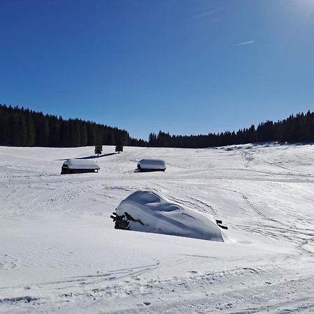 Villa Pokljuka Zgornje Gorje Exterior foto