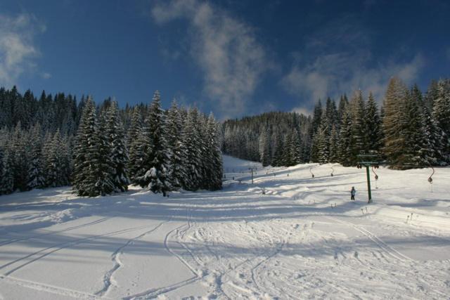 Villa Pokljuka Zgornje Gorje Exterior foto
